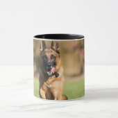 German Shepherd Running Mok (Midden)