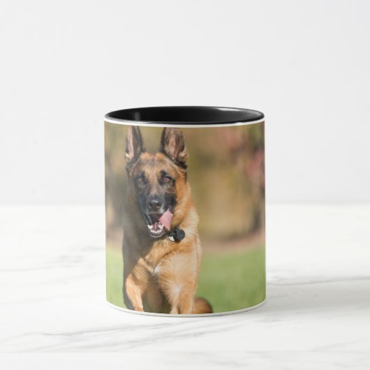 German Shepherd Running Mok (Midden)