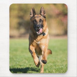 German Shepherd Running Muismat