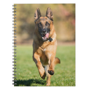 German Shepherd Running Notitieboek