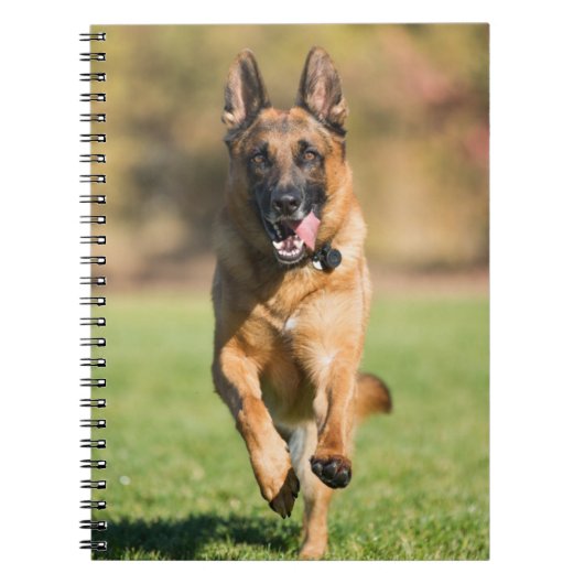 German Shepherd Running Notitieboek (Voorkant)