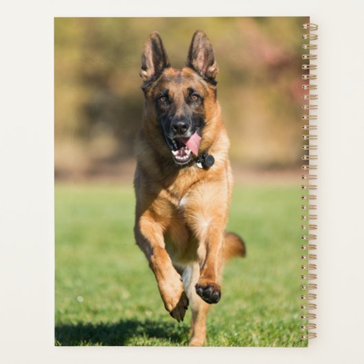 German Shepherd Running Planner (Achterkant)