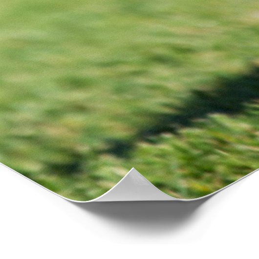 German Shepherd Running Poster (Hoek)