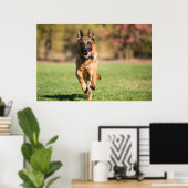 German Shepherd Running Poster (Thuiskantoor)