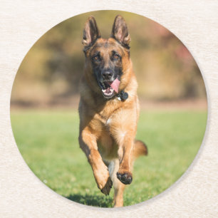 German Shepherd Running Ronde Kartonnen Onderzetter