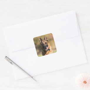 German Shepherd Running Vierkante Sticker