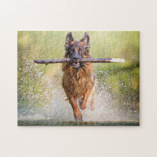 German Shepherd Running with Stick Legpuzzel