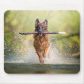 German Shepherd Running with Stick Muismat (Voorkant)