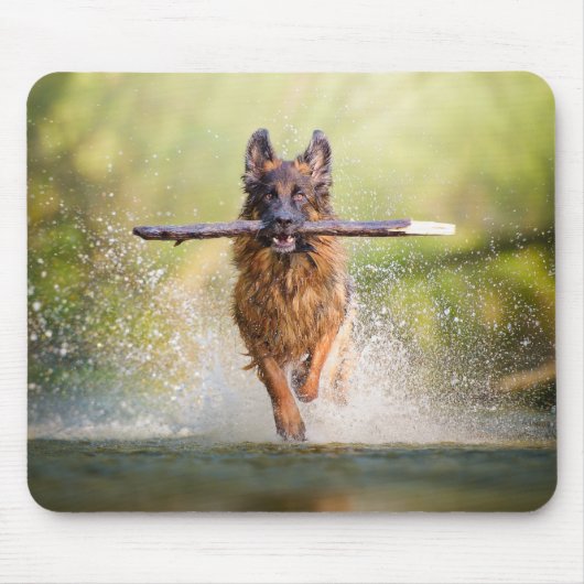 German Shepherd Running with Stick Muismat (Voorkant)