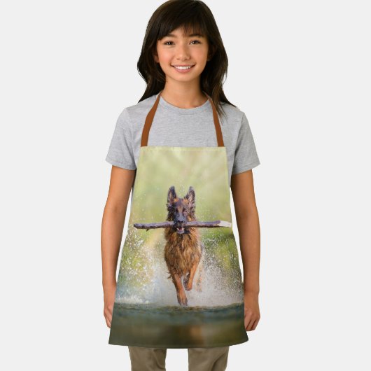 German Shepherd Running with Stick Schort (Insitu)