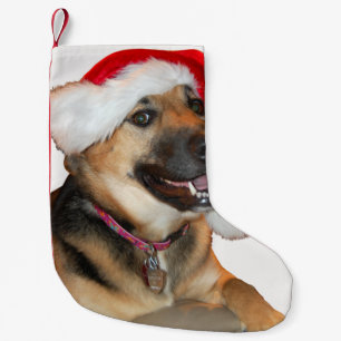 German Shepherd Santa Claus Kleine Kerstsok