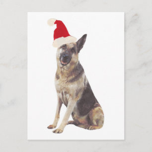 German Shepherd Santa Hat Feestdagenkaart