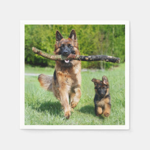 German Shepherd Servet