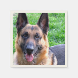 German Shepherd Servet