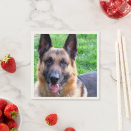 German Shepherd Servet