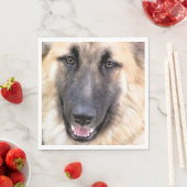 GERMAN SHEPHERD SERVETTEN (Insitu)