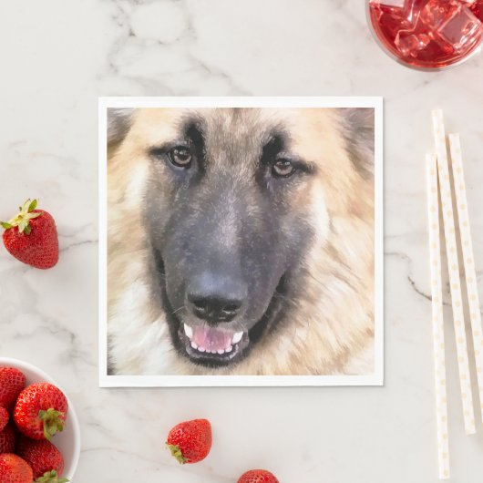 GERMAN SHEPHERD SERVETTEN (Insitu)