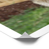 German Shepherd Sitting Alert Poster (Hoek)