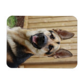 German Shepherd Sitting Magneet (Horizontaal)