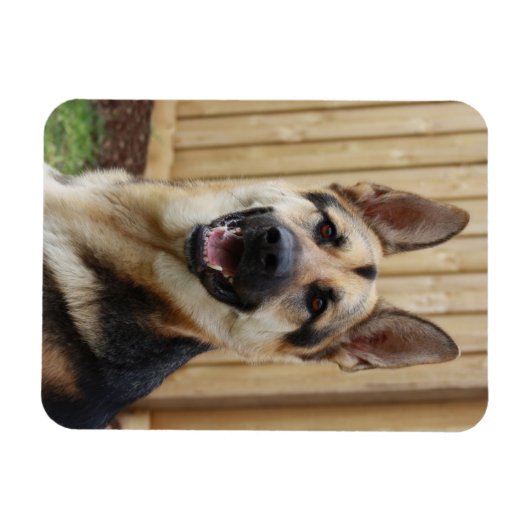 German Shepherd Sitting Magneet (Horizontaal)