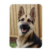 German Shepherd Sitting Magneet (Verticaal)