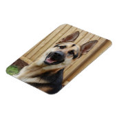 German Shepherd Sitting Magneet (Linkerzijde)