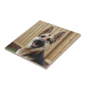 German Shepherd Sitting Tegeltje (Zijkant)