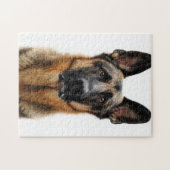German Shepherd Sitting up Legpuzzel (Horizontaal)