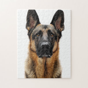 German Shepherd Sitting up Legpuzzel