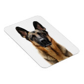 German Shepherd Sitting up Magneet (Rechterzijde)
