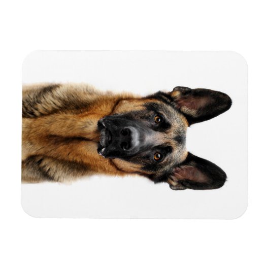 German Shepherd Sitting up Magneet (Horizontaal)