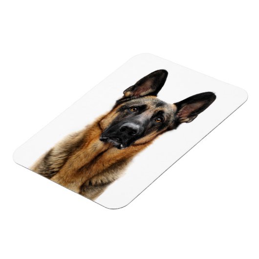 German Shepherd Sitting up Magneet (Linkerzijde)