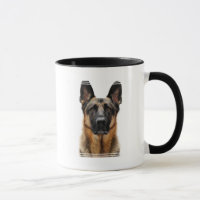 German Shepherd Sitting up