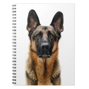 German Shepherd Sitting up Notitieboek