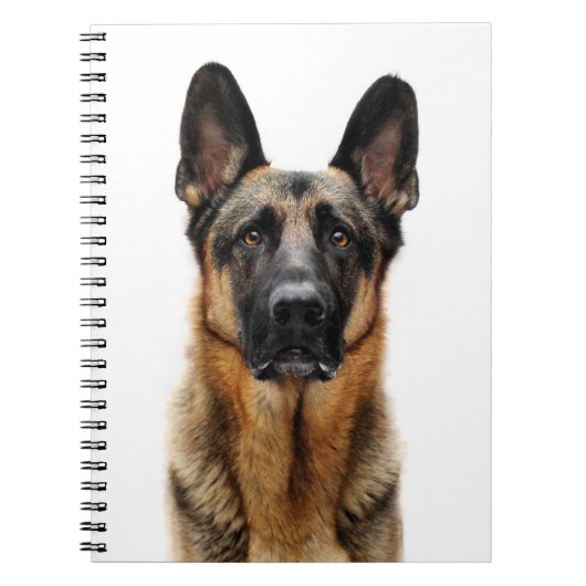 German Shepherd Sitting up Notitieboek (Voorkant)