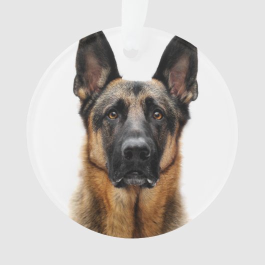German Shepherd Sitting up Ornament (voorkant)