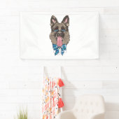 German Shepherd Spandoek (Insitu)