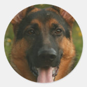 German Shepherd Sticker (Voorkant)
