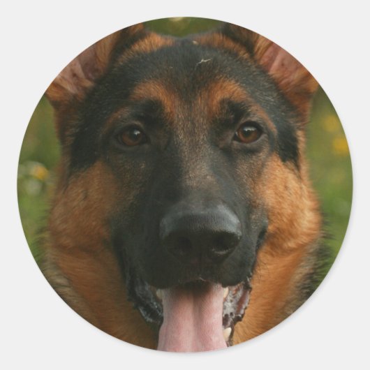 German Shepherd Sticker (Voorkant)