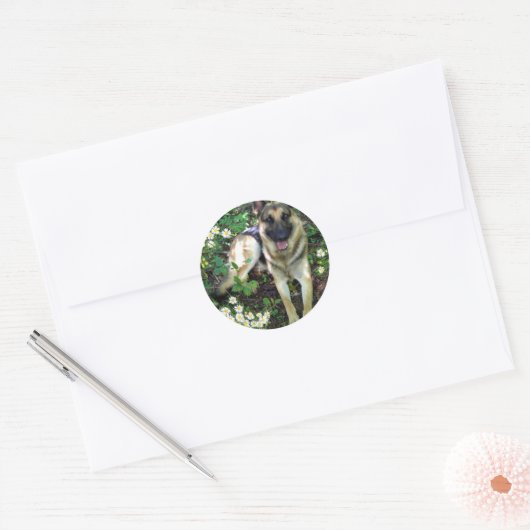 German Shepherd Sticker (Envelop)