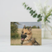 German Shepherd Sticking Tongue Briefkaart (Staand voorkant)