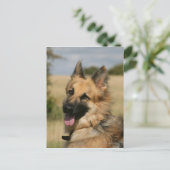 German Shepherd Sticking Tongue Briefkaart (Staand voorkant)
