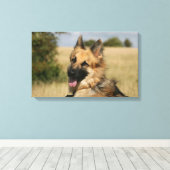 German Shepherd Sticking Tongue Canvas Afdruk (Insitu (Houten vloer))
