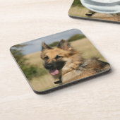 German Shepherd Sticking Tongue Drankjes Onderzetter (Linkerzijde)