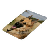 German Shepherd Sticking Tongue Magneet (Linkerzijde)
