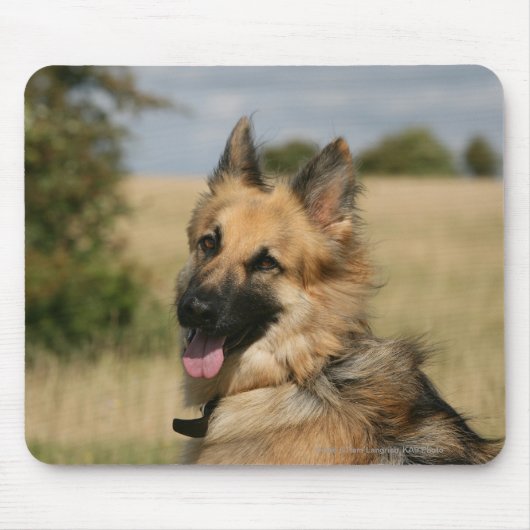 German Shepherd Sticking Tongue Muismat (Voorkant)