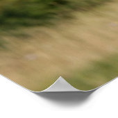 German Shepherd Sticking Tongue Poster (Hoek)