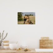 German Shepherd Sticking Tongue Poster (Keuken)