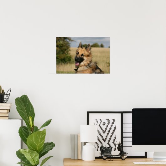 German Shepherd Sticking Tongue Poster (Thuiskantoor)