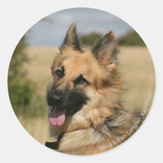 German Shepherd Sticking Tongue Ronde Sticker (Voorkant)